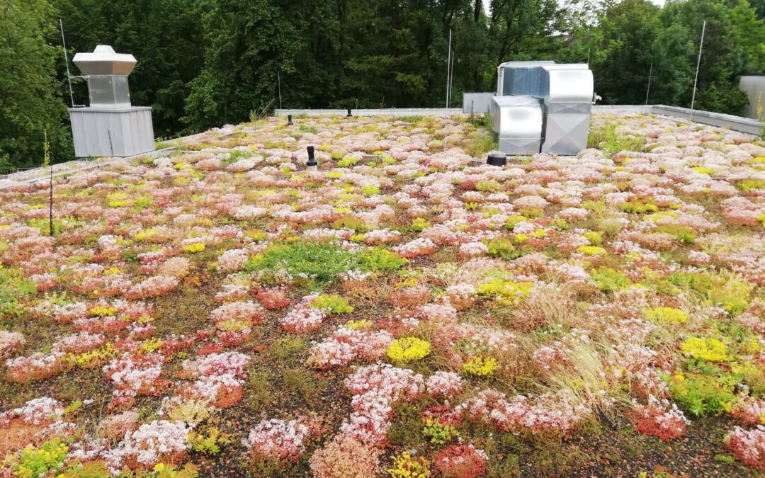 Umwelttipp April 2021