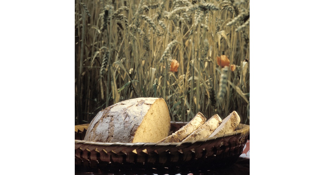 Brot – mehr als nur Grundnahrungsmittel
