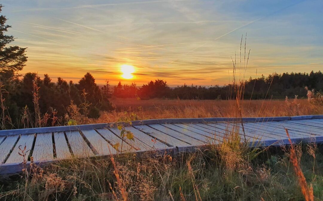 Querfeldein durch die schottischen Highlands