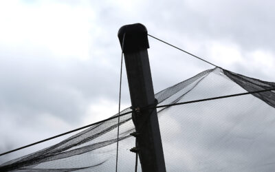 „Gespannt“ – Ökumenische Exerzitien im Alltag