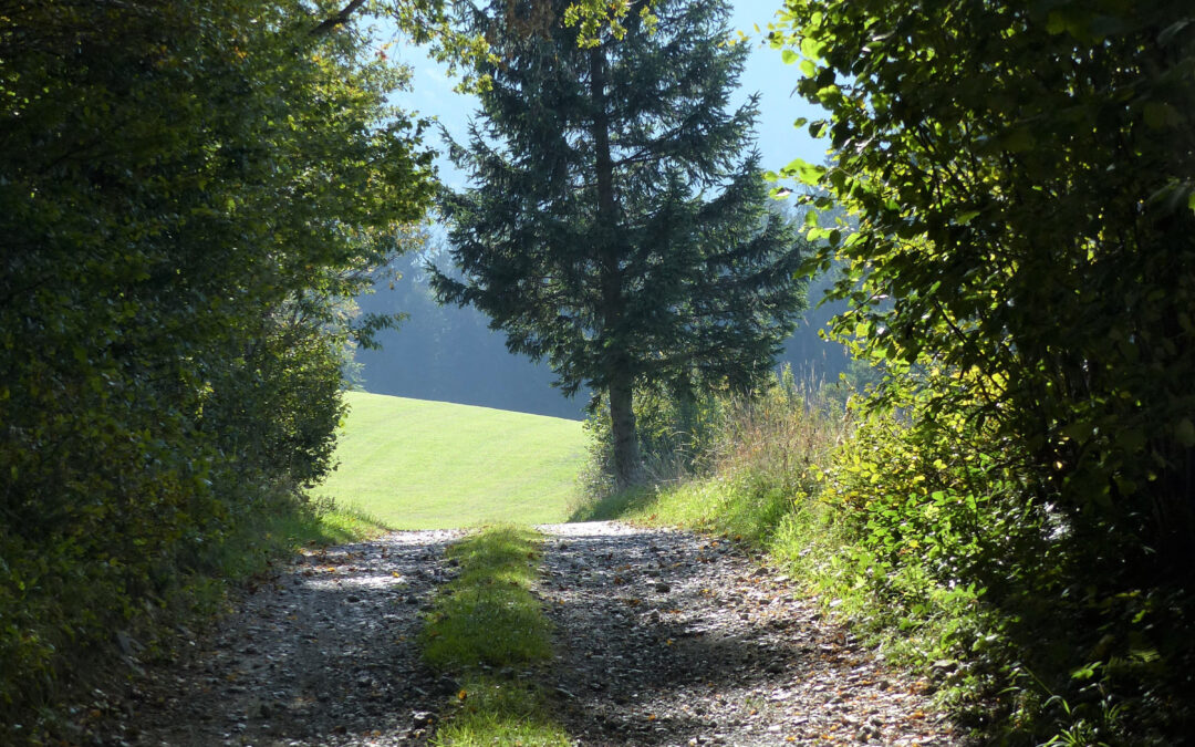 Kath. Jugend Penzberg: Hüttenwochenende 2026 – Sei dabei!