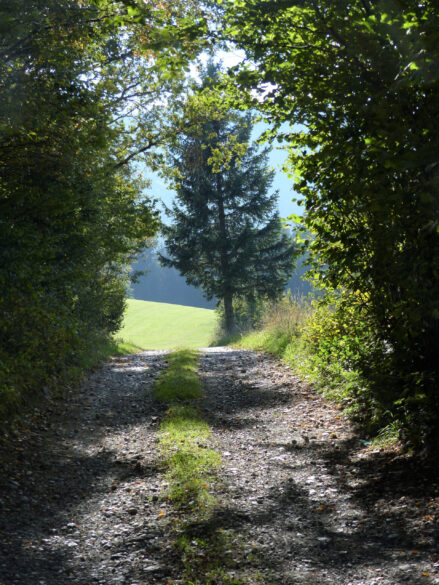 weg_by_Loni-Stoegbauer_pfarrbriefservice