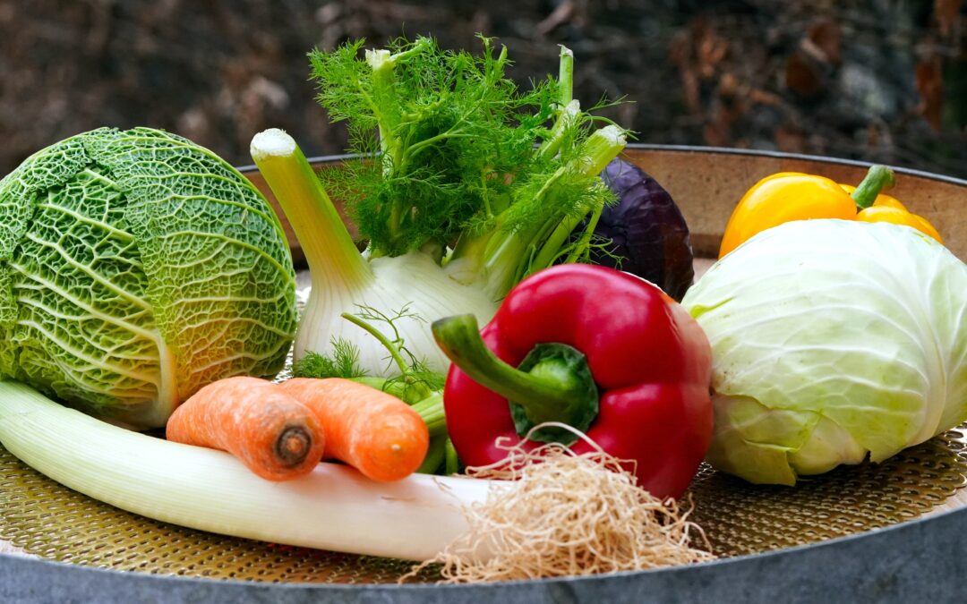 Fermentieren & Trocknen – Natürlich haltbar machen mit Genuss